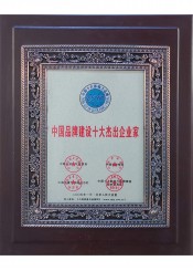 中国品牌建设十大杰出中欧(中国)家